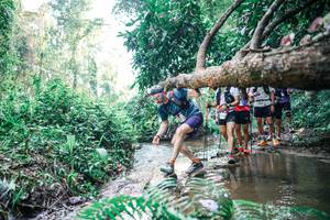 BIB: 
                            <button type="button" onclick="openModal(25460195)" class="btn btn-primary btn-sm float-right btn-popup" data-toggle="modal" data-target=".modal-high-quality">
                        <i class="fas fa-shopping-cart"></i> Add to Cart
                    </button>
                                            <button type="button" onclick="isThisMe(25460195, true)" class="btn btn-success btn-sm float-right btn-popup btn-isme hidden" data-toggle="tooltip" data-placement="bottom" title="นี่คือรูปของคุณใช่ไหม คลิกที่นี่เพื่อเอาเข้าอัลบั้ม">
                        <i class="fas fa-plus"></i> Add to album
                    </button>
                    <button type="button" onclick="isThisMe(25460195, false)" class="btn btn-warning btn-sm float-right btn-popup btn-isnotme hidden">
                        <i class="fas fa-ban"></i> Remove from album
                    </button>